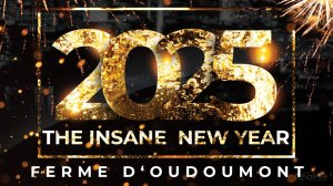 Affiche recto de l'événement : The Insane New Year Edition 2 