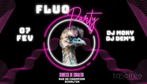 Affiche recto de l'événement : Soirée fluo