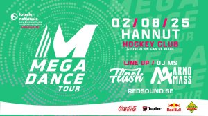Affiche recto de l'événement : Mega Dance Tour